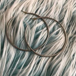 Silver Hoop Earrings